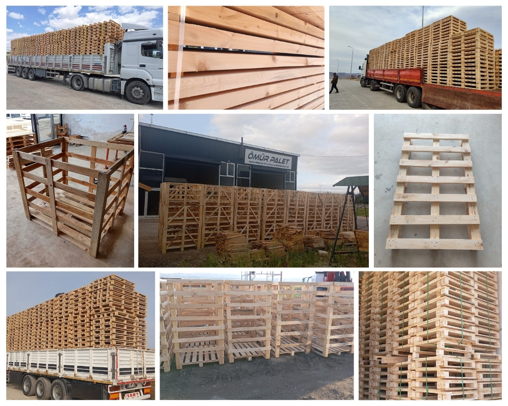 Brixham Wooden Pallets, Buy Wooden Pallets Wholesale
